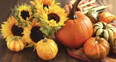 Intro to Yoga Courses & October Events November-TG.png